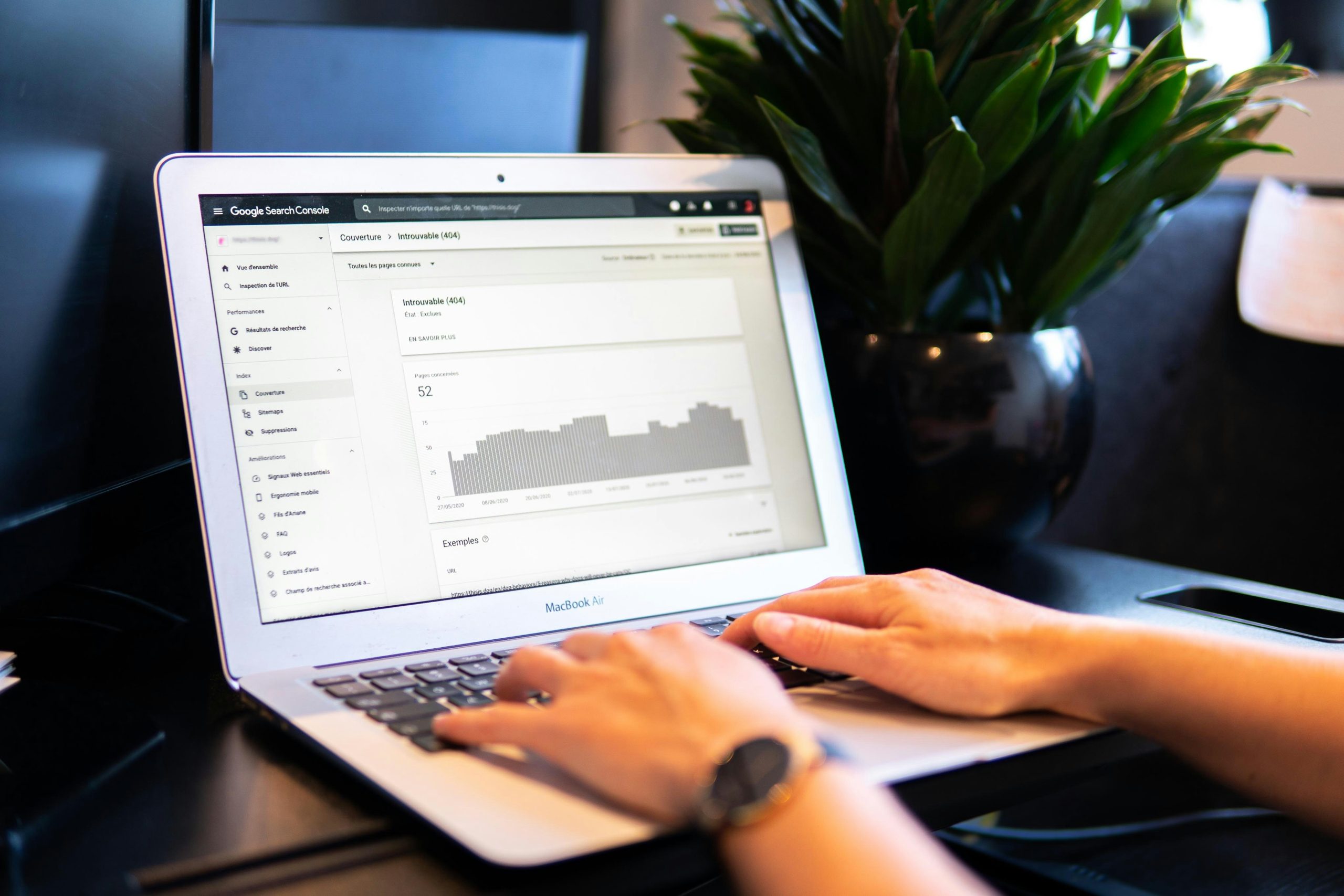 SEO Services5
